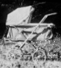 Photo of Welsh E-Z-Fold carriage version.