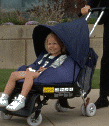 Photo of a Sit'n Stroll.