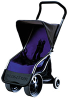 Photo of a Walk-About light and portable all-terrain stroller.