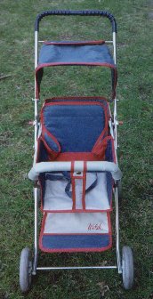 Another photo of a Welsh twin doll stroller.